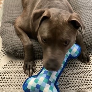 Meet your Posher, Fernando